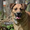 EDWARD