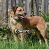 EDWARD