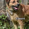 EDWARD