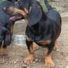 Molly sucht nach Liebe