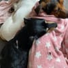 Ernie wartet und wartet.........