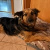 Kleine Nahla sucht ihr Glück 🍀