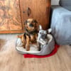 Kleine Nahla sucht ihr Glück 🍀