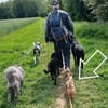 Senior Bobby-Blue s.passende Menschen