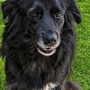 Cassandra❤ Körbchen gesucht