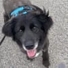 Cassandra❤ Körbchen gesucht