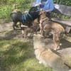Cassandra❤ Körbchen gesucht