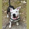 LILAS EN SOS URGENT