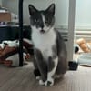 Slowmotion