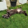 Max