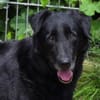 KARAM sucht Familienanschluss