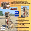 Die liebe 💕Raija 💕sucht ihre Menschen