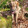 Die liebe 💕Raija 💕sucht ihre Menschen