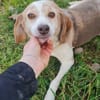 Laika 💚💚💚 lieb und kontaktfreudig