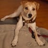 LOVELYN -sucht erfahrene Menschen-