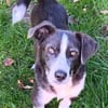 MAYBRITT * Hundedame mit Charme