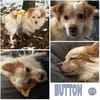 BUTTON -Kleiner, verschmuster Wirbelwind
