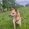 Galina sucht besondere Menschen