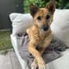 Galina sucht besondere Menschen