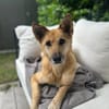Galina sucht besondere Menschen