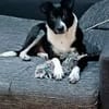JONAH -sucht erfahrene Menschen-