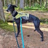 Gretel sucht erfahrene Menschen