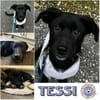 TESSI * taffe Mädchen kommen überall hin