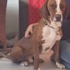 Tommy sucht seine Menschen