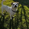 Bubi sucht eine /Zuhause
