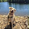 Suzie la belle et douce louloute