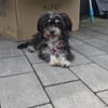 Paula , kleine Prinzessin