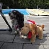 Paula , kleine Prinzessin