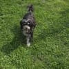 Paula , kleine Prinzessin