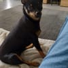 Luna sucht Neustart