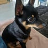 Luna sucht Neustart