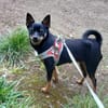 Luna sucht Neustart