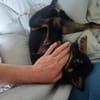 Luna sucht Neustart