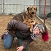 Prometeusz -Sensibler Hund