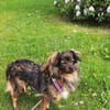 Cinderella - kleine Prinzessin