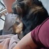 Cinderella - kleine Prinzessin