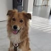 Neelo wartet schon auf dich