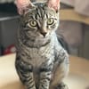 Dina u. Daisy suchen liebevolles Zuhause