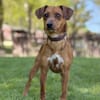 UMA, Mix, geb. 04/2025