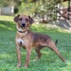 UMA, Mix, geb. 04/2025