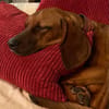 JUSTUS, Save Bracken Mix, geb. 4/2025