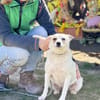TINKA, Mix, geb. 05/2025