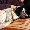 Betty hofft auf eine Familie