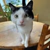 lieb und süß : Freddy im Rheingau