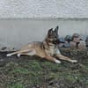 Ejmy - Buddel-Meisterin sucht Garten ;)