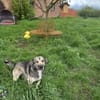 Hübsche,liebenswerte Pia